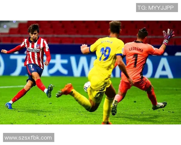 拜仁慕尼黑对阵马德里竞技精彩直播全程回顾与分析